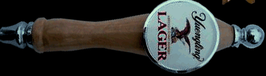 Yuengling Lager